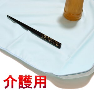 y{zp`}bgHpoɂ֗ȌgїpihEj32054