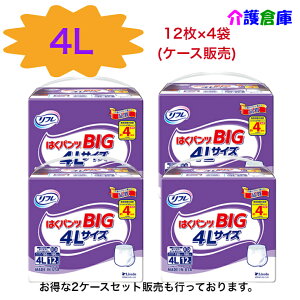 t ͂pc BIG 4LTCY 12×4 P[X/v48/傫TCY/4L/lpނ/Ic /uhDR[|[V/4904585042102/18504