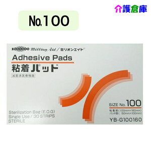 ~IGCh Spbh No.100 30/n핢یhbVO/a