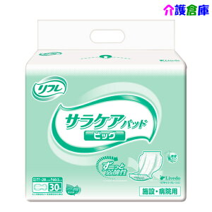 t TPApbh rbO 30 (1 )lpނ Apbh AƂ /uhDR[|[V