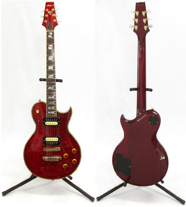 1002 ARIA PRO2 PE-ANNIVERSARY エレキギター カバー付