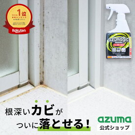 アズマ公式 アズマジック カビ取り剤 400ml ジェルスプレー カビ取り カビ取りスプレー 風呂掃除 洗剤 カビ取り洗剤 プロ用 業務用 ゴムパッキン タイル 浴室 お風呂 掃除 風呂 除菌 カビ取りジェル 梅雨 日本製 CH880