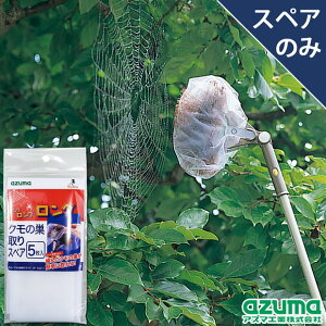 AY} N̑ XyA5 (XyÂ݁E{̕ʔ) SQ011