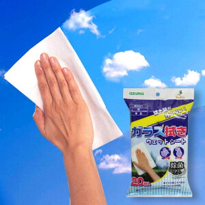 AY} KX @ EFbg V[g 20y󓇎Бl̂蒟bN{fځz20PAZ791