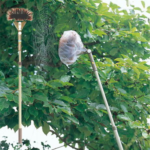 アズマ公式 クモの巣取りF LL593