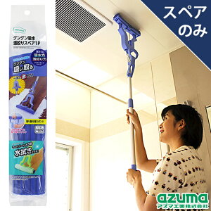 AY} OOzi XyA 1P (XyÂ݁Eʔ) SQ089