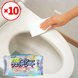 【メーカー公式店】トイレ用ウェットシート30枚入×10袋セット アズマ工業