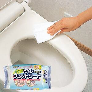 AY} gCp EFbg V[g 30 ق̂背̍ SQ058