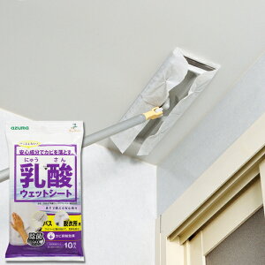 AY} _EFbgV[g oXEEߏp 10 Jr fsgp x@sv SQA43