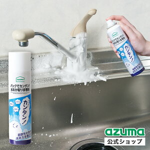 AY} pbNŊȒPI ܐ NG_ _ JVE | AXv[ C AJ TK