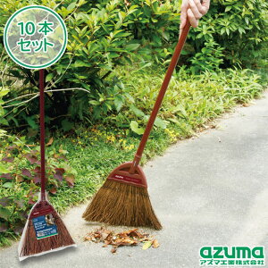 y[J[Xz ԃV_قZ×10{Zbg AY}H