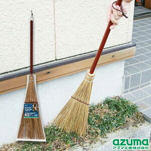 AY}  뉀ق Z ؕ t  AZH161