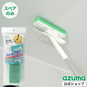 AY} Jryi胏Cp[XyA (XyÂ݁Eʔ) SP391