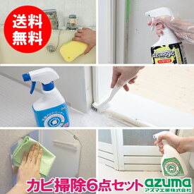 【メーカー公式店】浴室徹底カビ掃除6点セット アズマ工業