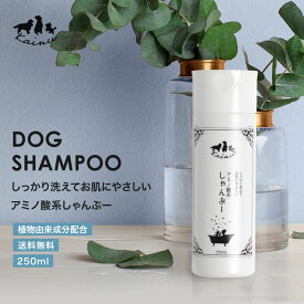 【楽天SS 15％オフクーポン配布中】犬 シャンプー ペット用シャンプー 低刺激 ボタニカル 消臭効果 リンゴポリフェノール 250ml 100ml アミノ酸系 植物由来成分配合 国産 グルテンフリー 防腐剤不使用 パラベンフリー 合成着色料不使用