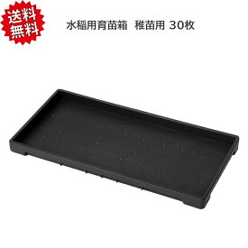 送料無料 法人様限定 【30枚セット】 水稲用 育苗箱 稚苗用 （敷き紙不要） 水稲 育苗トレイ 稚苗 稲作 資材 農業用 園芸用品 苗箱 アイカ 沖縄・離島出荷不可