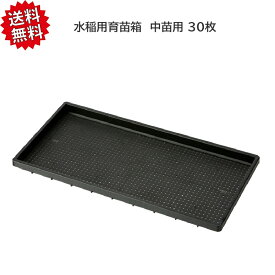 送料無料 法人様限定 【30枚セット】 水稲用 育苗箱 中苗用 （敷き紙必要） 水稲 育苗トレイ 稚苗 稲作 資材 農業用 園芸用品 苗箱 アイカ 沖縄・離島出荷不可
