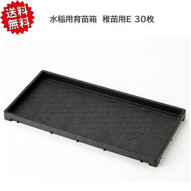 送料無料 法人様限定 【30枚セット】 水稲用 育苗箱 稚苗用E （敷き紙不要） 水稲 育苗トレイ 稚苗 稲作 資材 農業用 園芸用品 苗箱 アイカ 沖縄・離島出荷不可