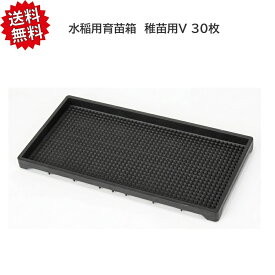 送料無料 法人様限定 【30枚セット】 水稲用 育苗箱 稚苗用V （敷き紙不要） 水稲 育苗トレイ 稚苗 稲作 資材 農業用 園芸用品 苗箱 沖縄・離島出荷不可
