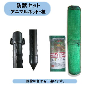 @@ll@hb񂽂ZbgIAj}lbgi2×50mj+hbY25×2100i25{j@VZC @Eoוs