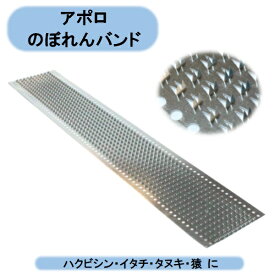 送料無料　アポロ　のぼれんバンド　（1箱5枚）×5箱　計25枚 AP-NB2012　ハクビシン・イタチ・タヌキ・猿 北海道・沖縄・離島出荷不可