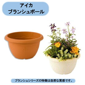 送料無料　法人様限定　ブランシュボール300　60個×1ケース　アイカ　※個人様宅お届け出来ません。 沖縄・離島出荷不可