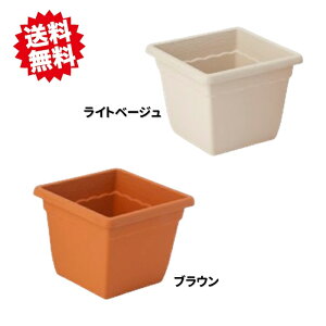 @ll@@uVXNGA320@20×3P[X@ACJ@܂ƂߔI@ll͂o܂B Eoוs