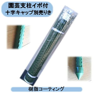@C{t|x 16mm×900mm 50{@\Lbvʔ@Eoוs