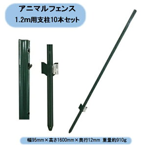 @ll@Aj}X`[tFX1.2mpx@10{×1g@160cm@{}^C ӁFz[is@kCEEoוs