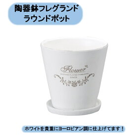 送料無料　フレグランドラウンドポットM　3個セット　陶器鉢　セラミック　エイチツーオー 北海道・沖縄・離島出荷不可