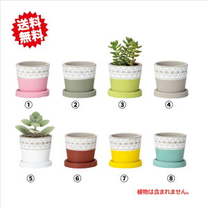 送料無料 インカラーポットL 鉢皿付 底穴有り 2鉢セット (カラー選択8色) 陶器鉢 北海道・沖縄・離島出荷不可