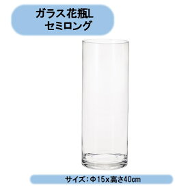 送料無料　ガラス花瓶L　セミロング　1個　エイチツーオー　　切り花　生花　北海道・沖縄・離島出荷不可