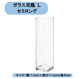送料無料 ガラス花瓶L　セミロング　1個　エイチツーオー 切り花　生花 一輪挿し 北海道・沖縄・離島出荷不可