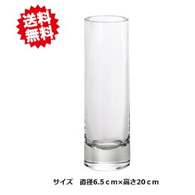 送料無料 一輪挿しベース　お買い得6個セット　直径6.5cm×高さ20cm エイチツーオー　切り花　生花 北海道・沖縄・離島出荷不可