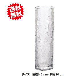 送料無料 一輪挿し ヒビ割れベース　お買い得6個セット　直径6.5cm×高さ20cm エイチツーオー　切り花　生花 北海道・沖縄・離島出荷不可