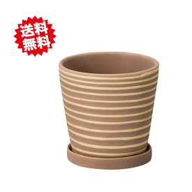送料無料 パステルホルベL ブラウン 鉢皿付 穴有り 6セット 陶器鉢 北海道・沖縄・離島出荷不可