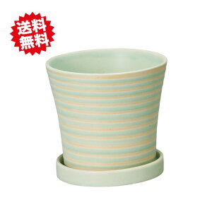  pXezxL CgO[ Mt L 6Zbg 픫 kCEEoוs