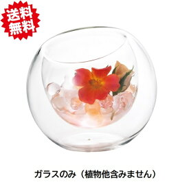 送料無料 ポケットグラスL　お買い得6個セット　エイチツーオー　切り花　生花 一輪挿し 北海道・沖縄・離島出荷不可