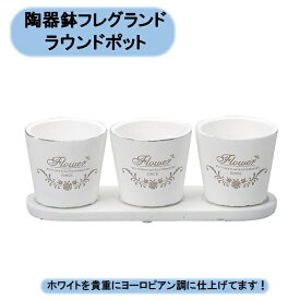 送料無料　フレグランドラウンドポット　3個セット×4セット　陶器鉢　セラミック　エイチツーオー 北海道・沖縄・離島出荷不可