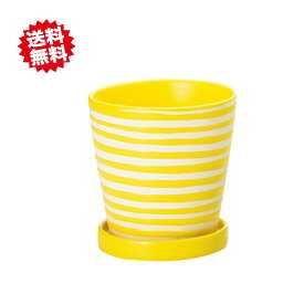 送料無料 パステルホルベL イエロー 鉢皿付 穴有り 6セット 陶器鉢 北海道・沖縄・離島出荷不可