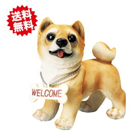 送料無料　ラブリーウェルカムドック　 柴犬　エイチツーオー　北海道・沖縄・離島出荷不可