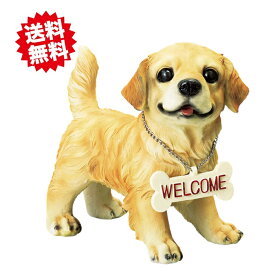 送料無料　ラブリーウェルカムドック　 レトリバー　エイチツーオー　北海道・沖縄・離島出荷不可