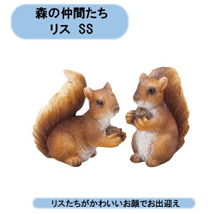 @X̒Ԃ@XSS@2×2@GC`c[I[@kCEEoוs