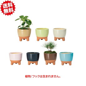 送料無料 ナロンポット L 底穴無し 2鉢セット （カラー選択7色） ミニ観葉 ミニ盆栽 陶器鉢 北海道・沖縄・離島出荷不可