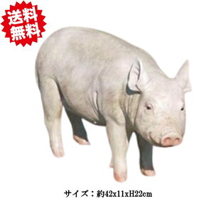 @I[ig@u^30047@rbOTCY@22cm@|W Ԃ@kCEEoוs