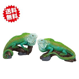 送料無料 グリーンイグアナ 22.5x10.3xH12.7cm 2種×各1個 置物 ディスプレー オーナメント リアル　エイチツーオー 北海道・沖縄・離島出荷不可