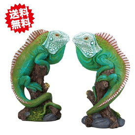 送料無料 グリーンイグアナ 11x8.5xH16.5cm 2種×各1個 置物 ディスプレー オーナメント リアル　エイチツーオー北海道・沖縄・離島出荷不可