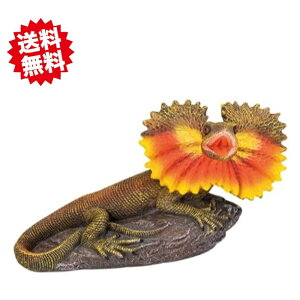 @G}LgJQ@18.8x7.5xH10.7cm 1@u fBXv[ I[ig@A@WI}@kCEEoוs