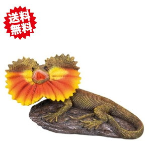 @G}LgJQ@22.8x8.6xH13cm 1@u fBXv[ I[ig@A@WI}@kCEEoוs