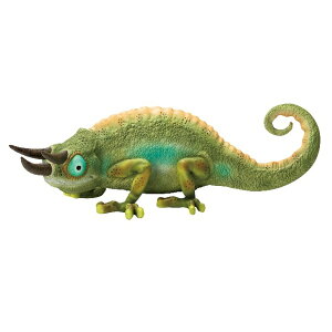 ���������@�O���[���J�����I��L�@30.5x12xH9cm�@�u�� �f�B�X�v���[ �I�[�i�����g�@���A���@�k�C���E����E�����o�וs��